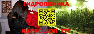 jwh Татарск
